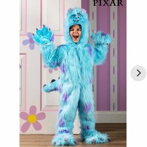 Sully Halloween Costume